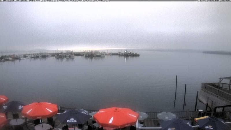 Digby Harbour