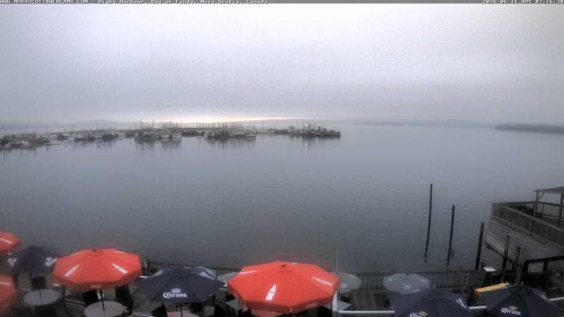 Digby Harbour