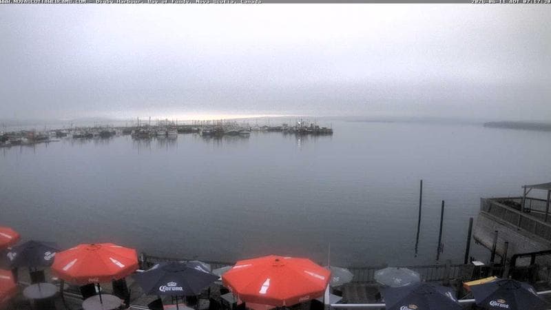 Digby Harbour