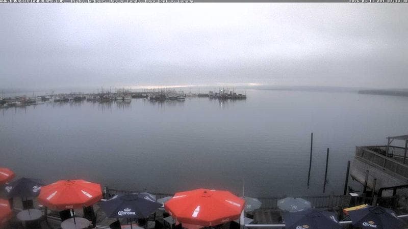 Digby Harbour