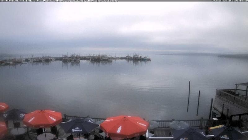 Digby Harbour