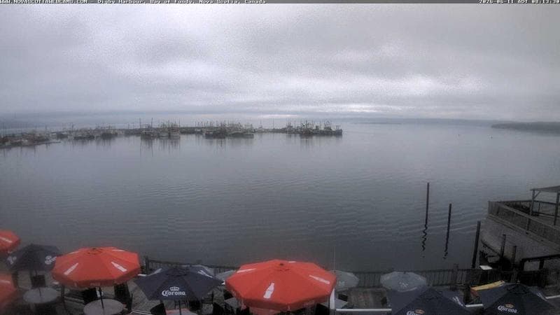 Digby Harbour