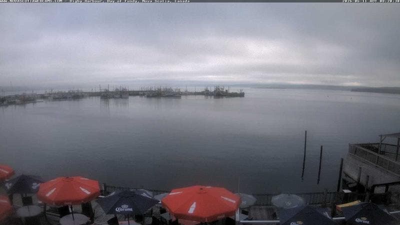 Digby Harbour