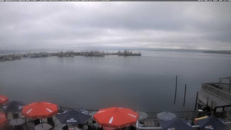 Digby Harbour