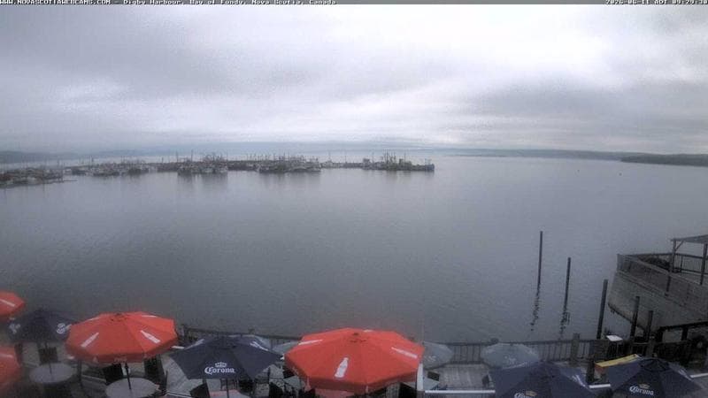 Digby Harbour