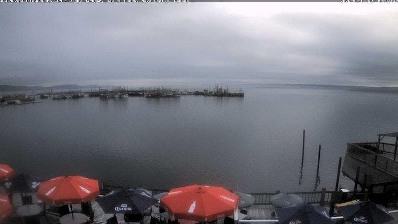Digby Harbour