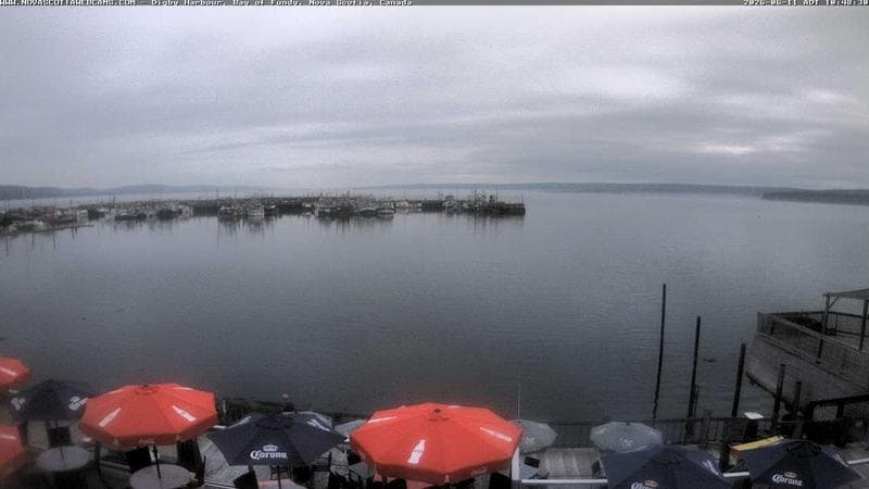 Digby Harbour