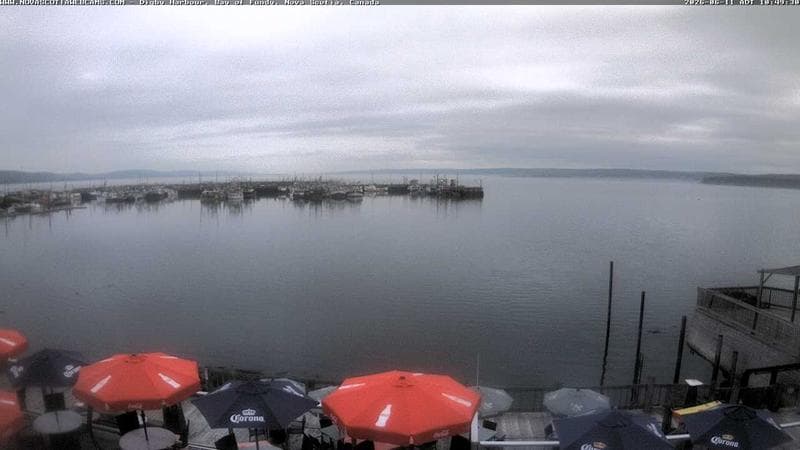 Digby Harbour