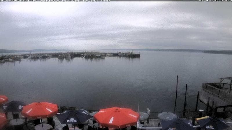 Digby Harbour