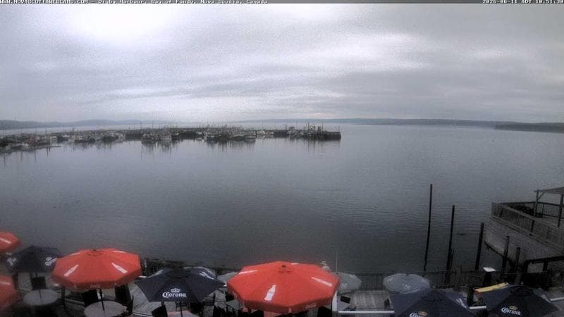 Digby Harbour