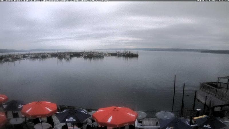 Digby Harbour