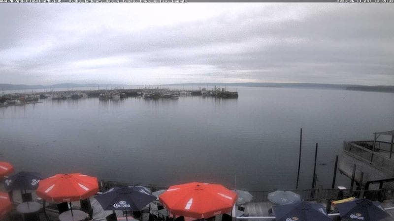 Digby Harbour