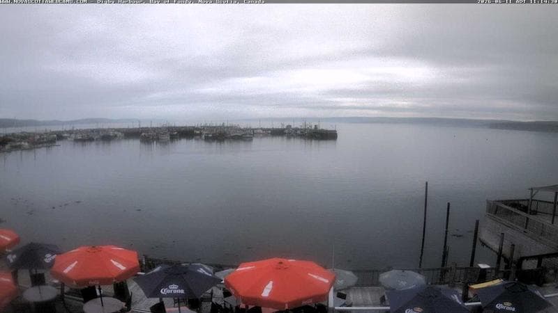 Digby Harbour