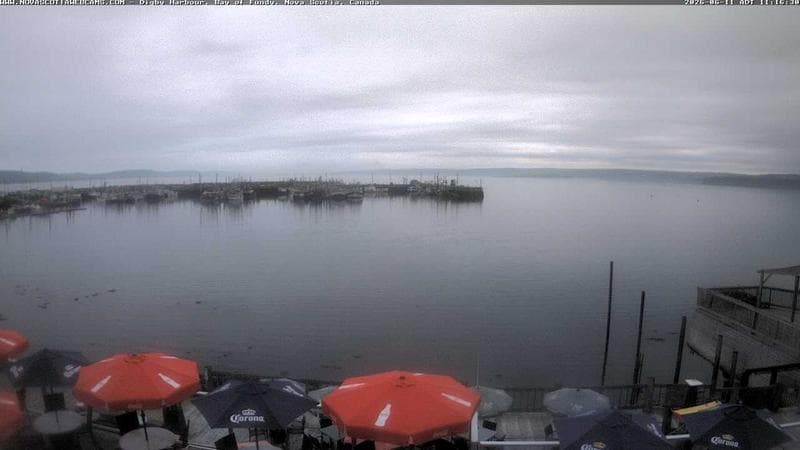 Digby Harbour