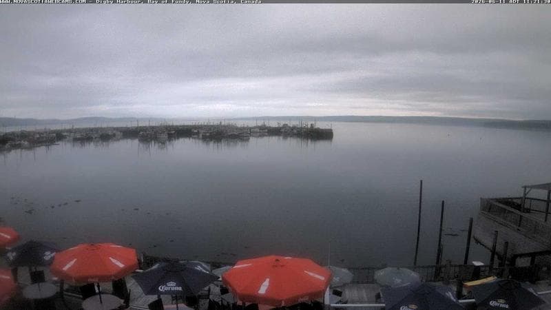 Digby Harbour