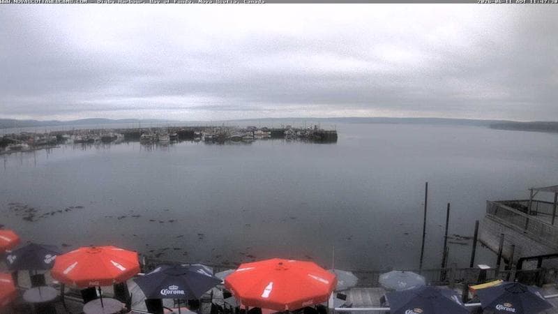 Digby Harbour