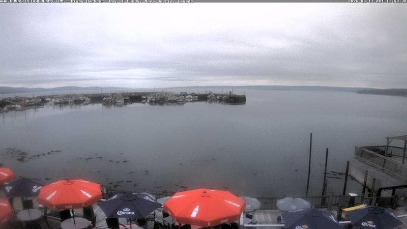 Digby Harbour