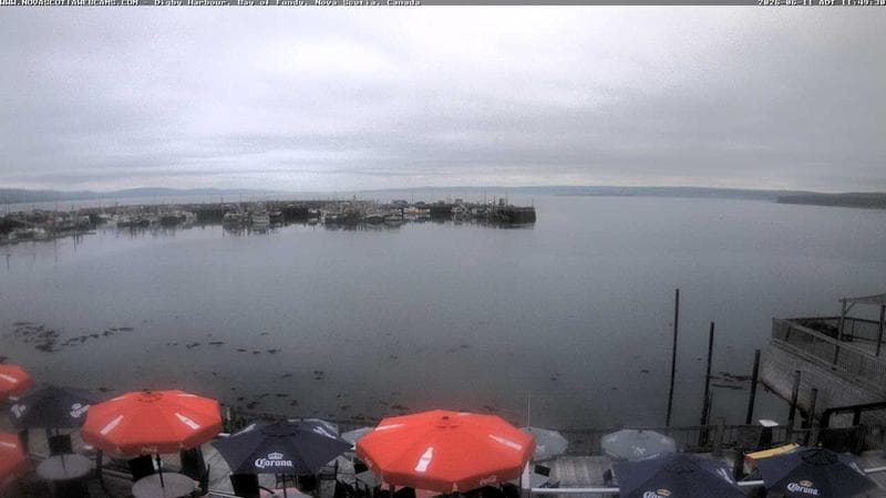 Digby Harbour