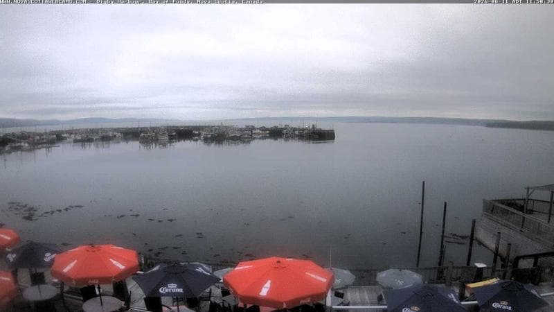 Digby Harbour