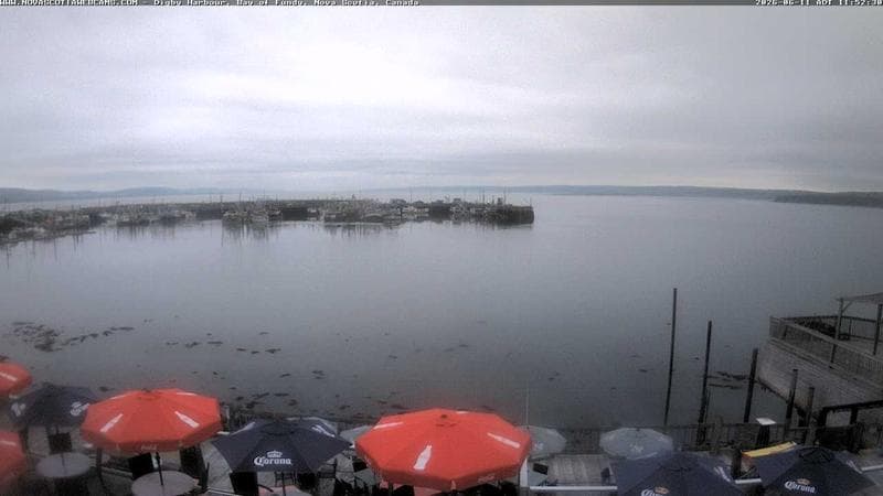 Digby Harbour