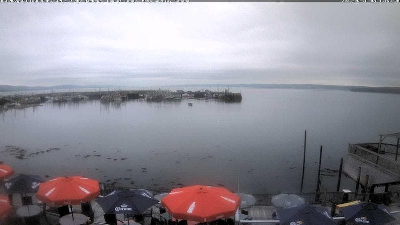 Digby Harbour