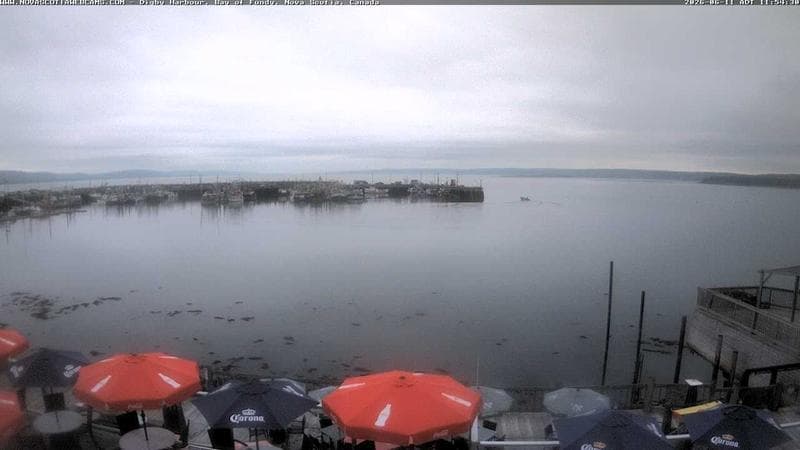 Digby Harbour
