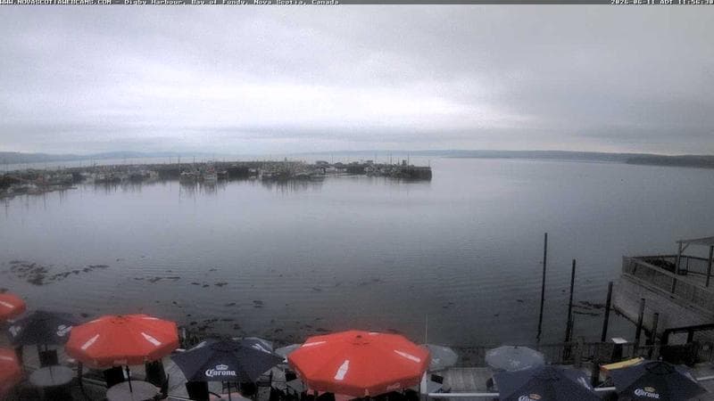 Digby Harbour