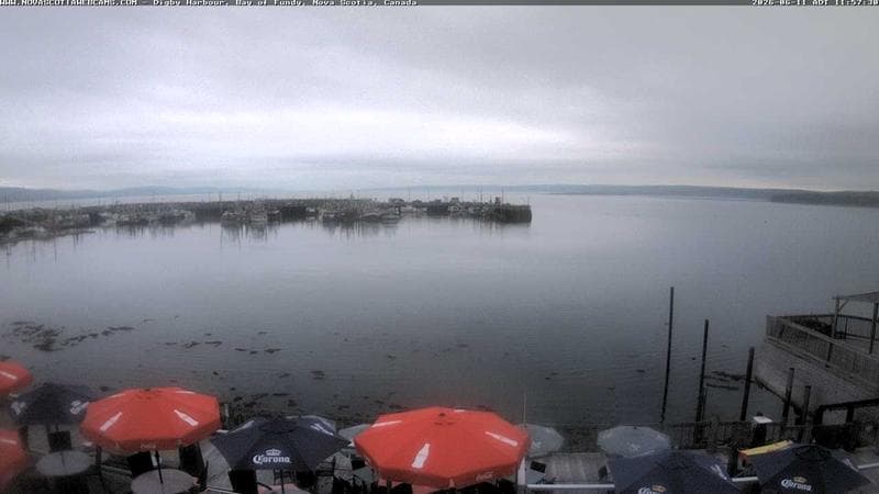 Digby Harbour