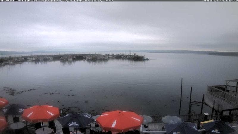 Digby Harbour