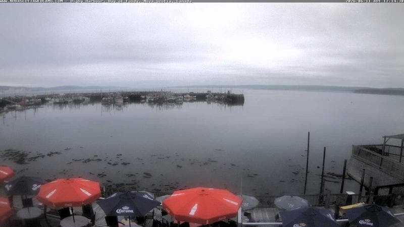 Digby Harbour