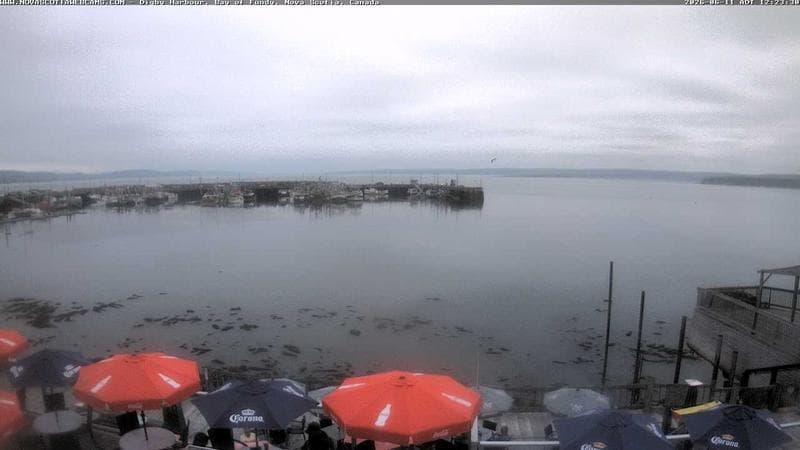 Digby Harbour