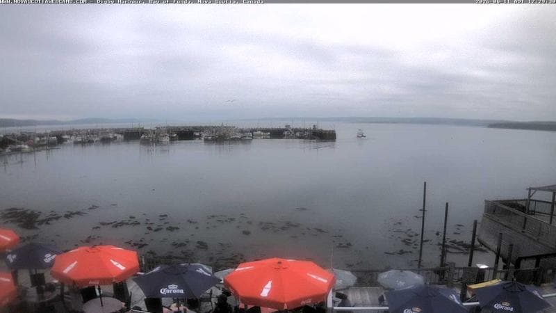 Digby Harbour