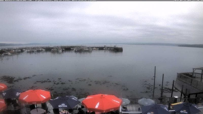 Digby Harbour
