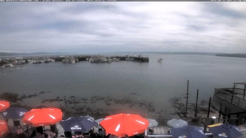 Digby Harbour