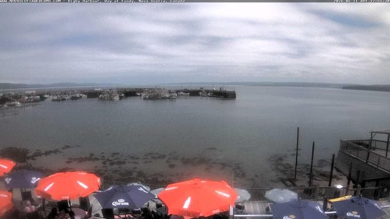 Digby Harbour