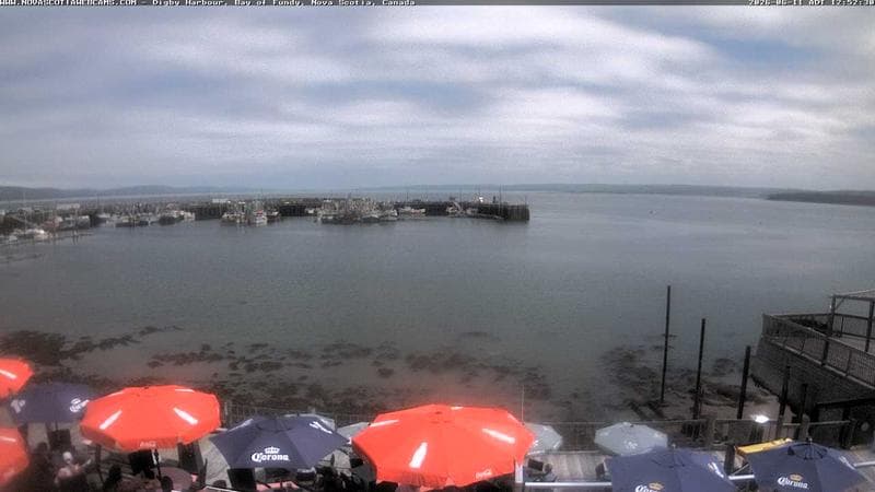 Digby Harbour