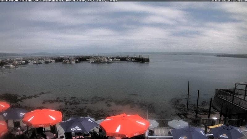 Digby Harbour