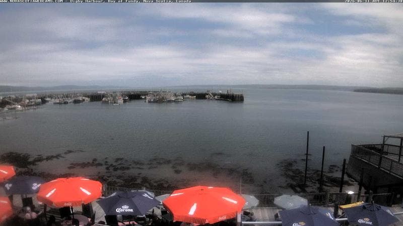 Digby Harbour