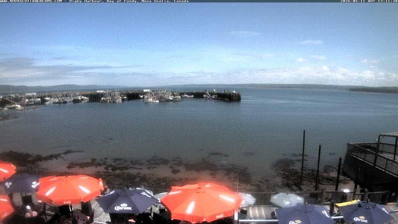 Digby Harbour