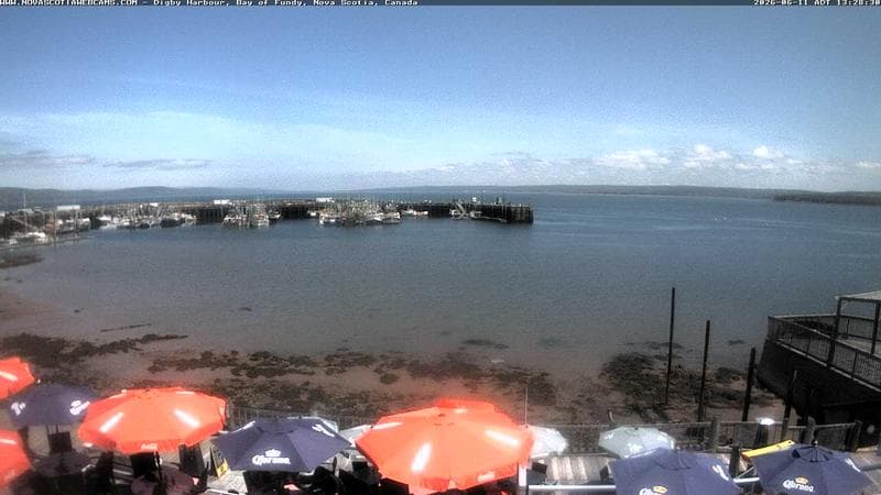 Digby Harbour