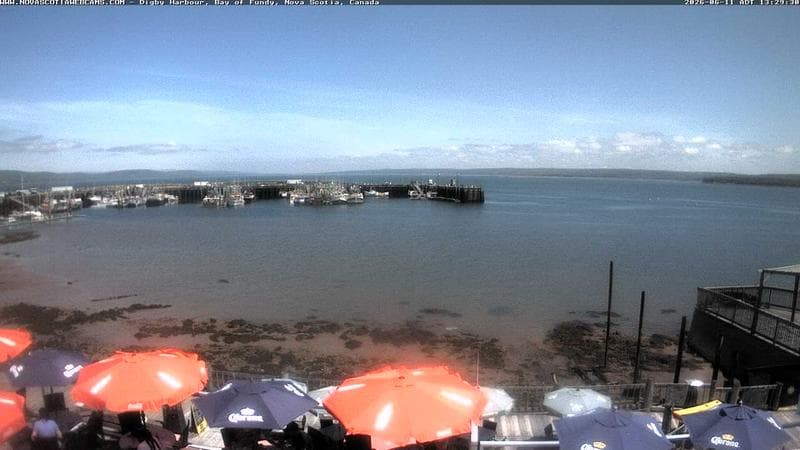 Digby Harbour