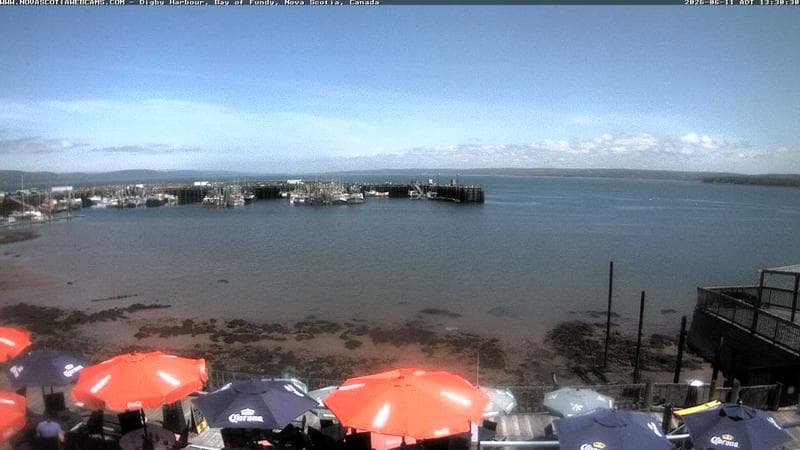 Digby Harbour