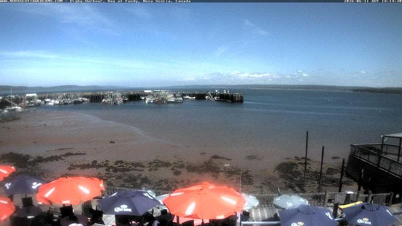Digby Harbour