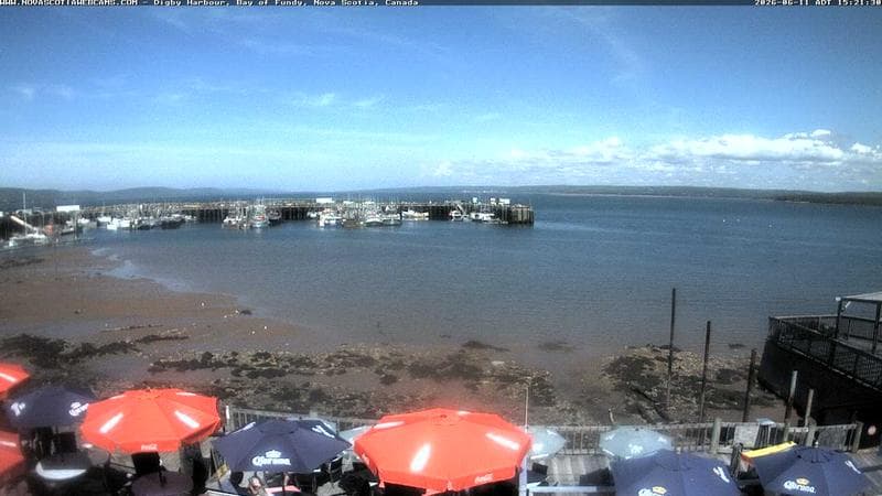 Digby Harbour