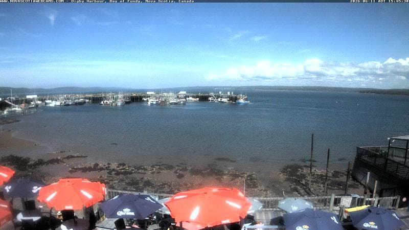 Digby Harbour