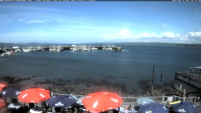 Digby Harbour