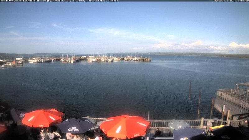 Digby Harbour