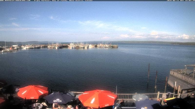 Digby Harbour