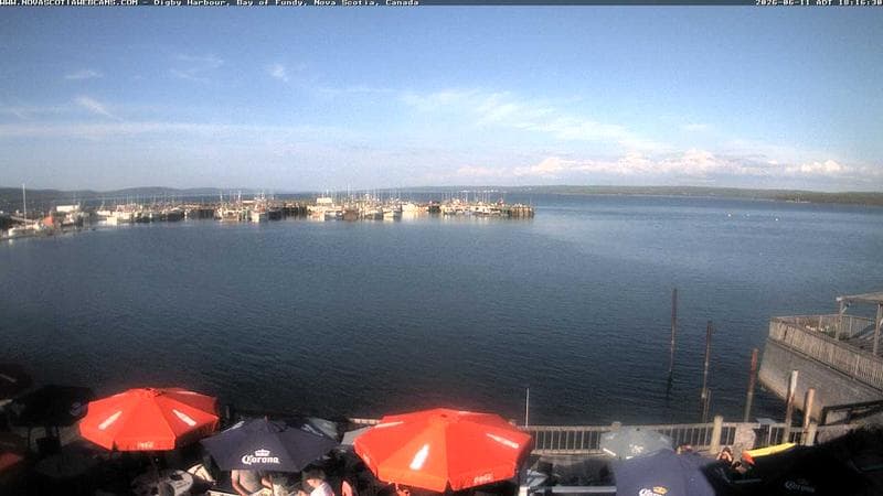 Digby Harbour