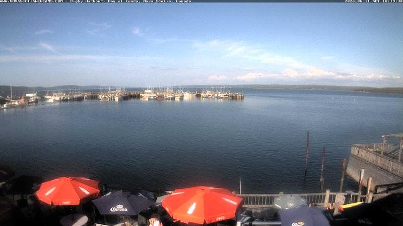 Digby Harbour